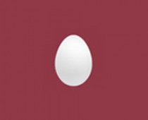 Twitter Profile Picture